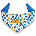 Bentley's Bandanna