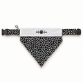 Black with Dog Bones Collar/Bandanna Combo