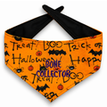 Orange Bone Collector Halloween Dog Bandanna